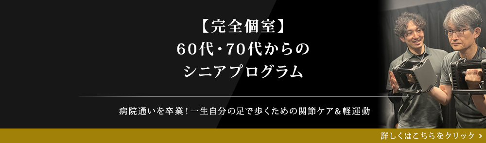 シニアプログラム