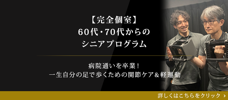 シニアプログラム